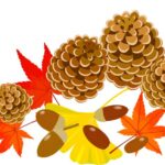 紅葉狩り